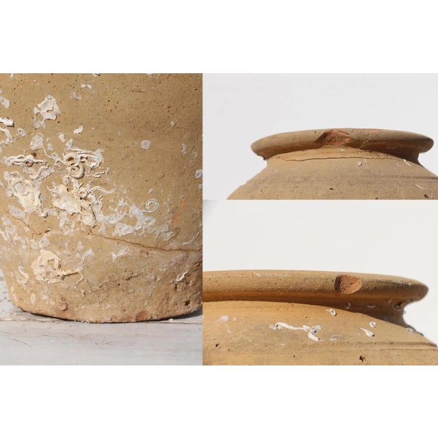 Ceramic 19th Century Antique Terracotta Octopus Trap Undersea Pot For Sale - Image 7 of 13