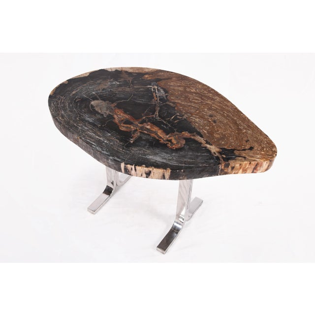 Modern One Slab Living Edge Petrified Wood Console Table W Stainless Stand 52 For Sale - Image 3 of 6