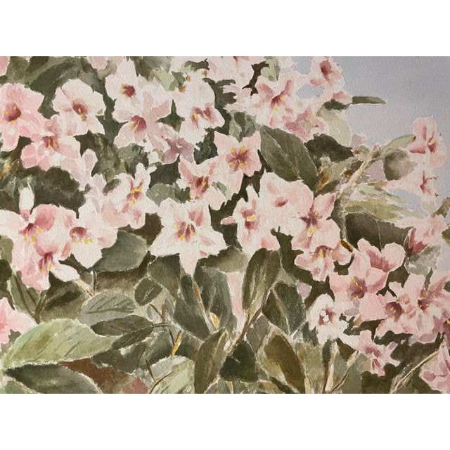 By Virginia artist Beryl Jones Hawkins (1938-2015), Pink Azaleas spring watercolor on paper, signed lower left. Hawkins...