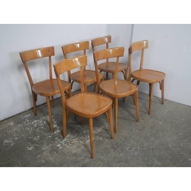Bistro Beech Chairs, 1970, Set of 6 For Sale - Image 3 of 13