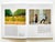 David Hockney David Hockney Vintage 1995 First Edition Modern Masters Pop Art Book For Sale - Image 4 of 13
