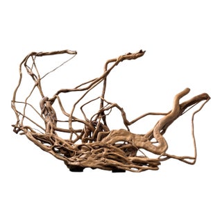 Large Root Sculpture From Southwest China For Sale