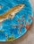 Traditional Majolica Marine Life Charger by Rare Schutz Cilli 19Th Century. For Sale - Image 3 of 12