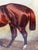 Circa 1843 Signed Charles Bilger Spalding Chestnut Hunter British Equestrian Oil Painting For Sale - Image 9 of 18