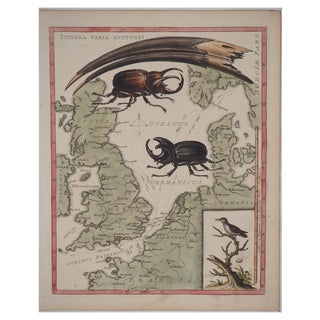 George Edwards, Animals of the Journey, Etching For Sale