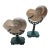 Pair Vintage Maitland Smith Nautilus Shell For Sale