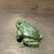 Hand-Painted Enameled Pewter Frog Trinket Box Accented Green Austrian Crystals For Sale - Image 4 of 11