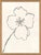 Contemporary Line Drawing by Susan Hable For Sale - Image 3 of 4