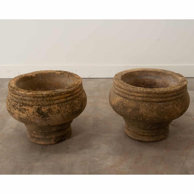 English 19th Century Heavy Terracotta Planters - A Pair For Sale In Baton Rouge - Image 6 of 9