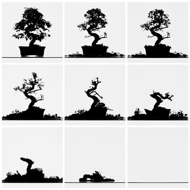 Metal Filipe Condado, Untitled, Photography For Sale - Image 7 of 7