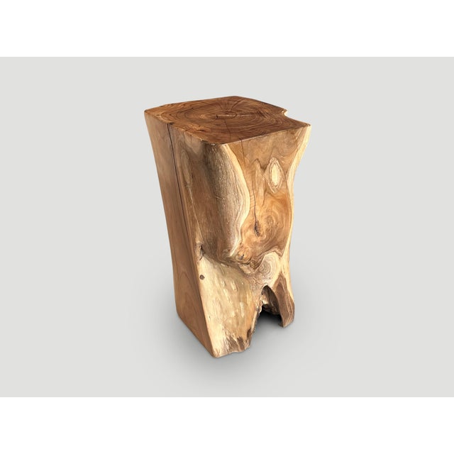 Andrianna Shamaris Organic Teak Wood Pedestal or Side Table For Sale In New York - Image 6 of 6