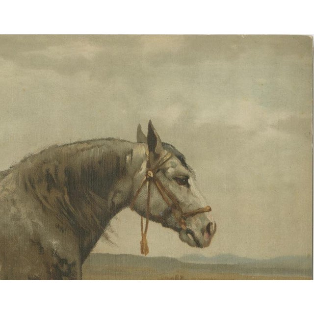 Gold After Otto Eerelman, Russian Draft Horse, 1898, Lithograph on Paper For Sale - Image 8 of 9