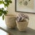 These all natural baskets are handwoven by skilled artisans using sustainable materials. Perfect for creating that...