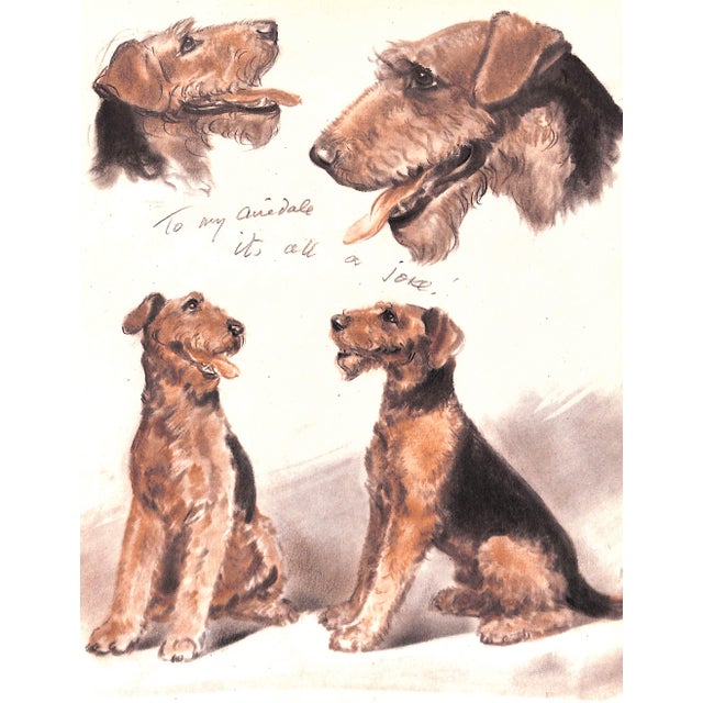 "Diana Thorne's Dogs: An Album of Drawings" 1944 Thorne, Diana For Sale - Image 11 of 12
