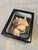 Antique Wax Model Head, 1890s For Sale - Image 14 of 18