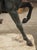 Black The Horseman Returning From the Hunt, Alfred Barye, Émile Guillemin, Circa 1870 For Sale - Image 8 of 18