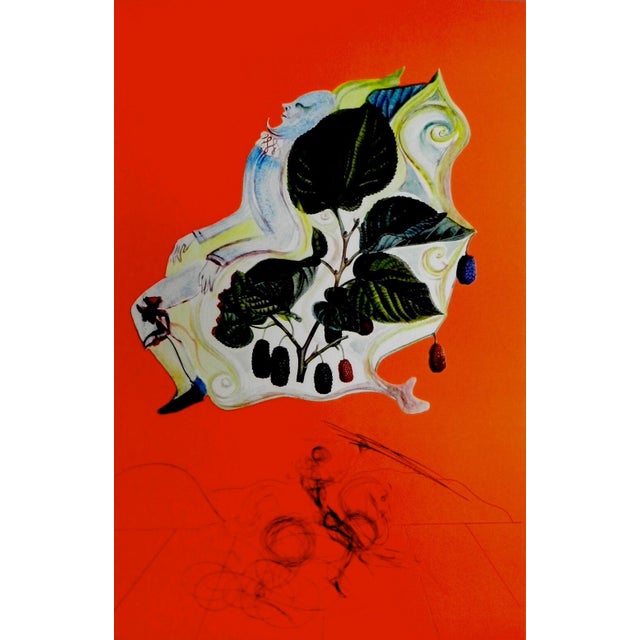 ARTIST: Salvador Dali TITLE: Fruits Blackberries MEDIUM: Etching SIGNED: Hand Signed PUBLISHER: Jean Schneider, Basel...