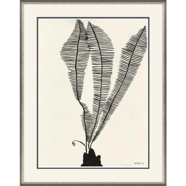 Contemporary Scissor Fern Framed Art Print by Susan Hable For Sale - Image 3 of 3