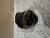 1970s Inuit Native Josie Nuluki Soapstone Carved Seal For Sale - Image 4 of 10