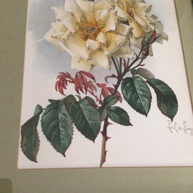 Paul De Longpre 1905 Framed Yellow Roses Lithograph Printed by the Grey Litho. Company, New York For Sale - Image 10 of 13