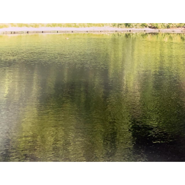 "Tuileries Pond and Gardens, Paris" Contemporary Plein Air Photograph Print by Louise Weinberg For Sale - Image 4 of 5