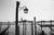 Paul Cooklin, Lantern, Edition of 50 For Sale - Image 4 of 4