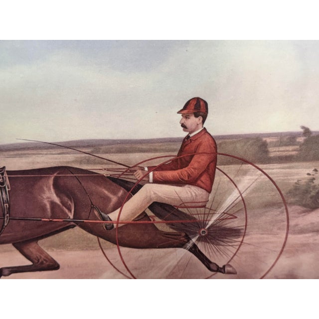 Mid 20th Century Framed “Harry Wilkes” Harness Racing Horse Print | Victorian Trotting Horse Lithograph | Equestrian For Sale In Atlanta - Image 6 of 8