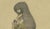 Paper A. A. Bonnaffé, La Tapada of Lima, Peru, 1855, Print For Sale - Image 7 of 9