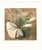Lali Lomtadze (born 1955) mixed media print with etching, collagraph and mono print elements. Trimmed at the plate mark...