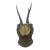 Antique English Antler Mount For Sale