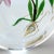 Chris Buzzini Artist-Proof Orchid Flower and Roots Art Glass Paperweight For Sale - Image 9 of 13