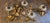 A stunning mid-20th century gilt tole wall sconce sculpture in the Italian Regency style, featuring four large hand-formed...