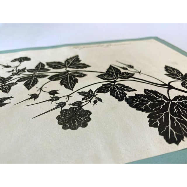 Barbara Anne Townshend, The Pencil'd Geranium, Paper Cut For Sale - Image 4 of 8