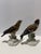 Mid-Century Modern Vintage Klotz & Ens Porcelain Bird Figurines – Hand Painted German Pair For Sale - Image 3 of 8
