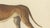 Paper Karl Joseph Brodtmann, Mastiff Dog, 1816, Lithograph For Sale - Image 7 of 9