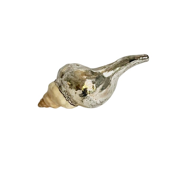 Vintage Partially Silvered Conch Shell in the Style of Bucellati For Sale - Image 14 of 15