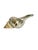 Vintage Partially Silvered Conch Shell in the Style of Bucellati For Sale - Image 14 of 15
