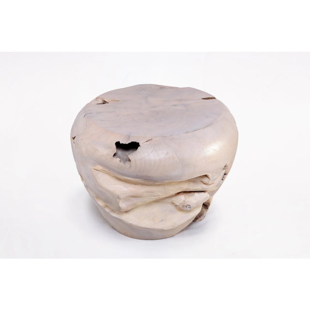 Contemporary Bleached White Teak Root Accent or Side Table or Stool 24 For Sale - Image 3 of 5