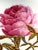 Late 19th Century Antique 1880 Minton G4419 Set 6 Hand Painted Rose Gold Platinum Aesthetic Plates For Sale - Image 5 of 16