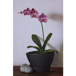 Pink Orchids, ca. 2015 by Cecilia Thorell | Oil on linen panel of pink orchids in a black pot For Sale