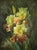 This striking oil painting portrays a vivid, close-up of three large irises in bloom. Set within an impressive, ornate...