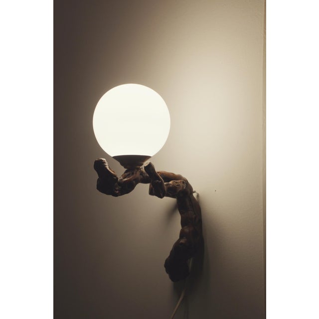 Vintage Organic Brutalist Vine Root Wall Lamp with Opaline Globe, 1960s For Sale - Image 16 of 18