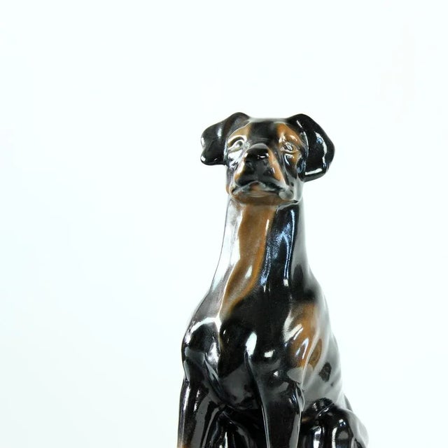 Vintage Doberman Pitcher Statue in Porcelain from Jikohera, Czechoslovakia, 1960s For Sale - Image 4 of 9