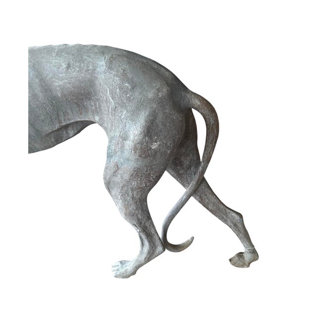 Early 20th Century Antique English Cast Lead Life / Full Size Standing Greyhound / Whippet Garden Statue / Sculpture, Circa Early 20th Century For Sale - Image 5 of 5