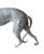 Early 20th Century Antique English Cast Lead Life / Full Size Standing Greyhound / Whippet Garden Statue / Sculpture, Circa Early 20th Century For Sale - Image 5 of 5