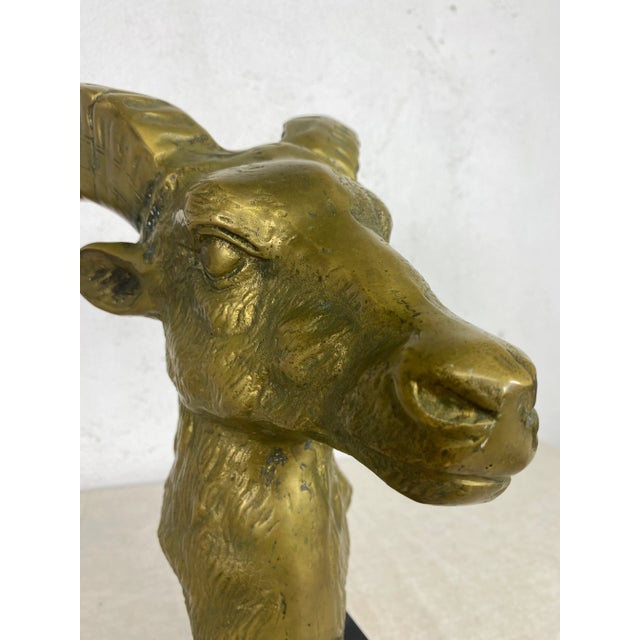 Brass Mid Century Vintage Solid Brass Ramshead Bust For Sale - Image 8 of 11
