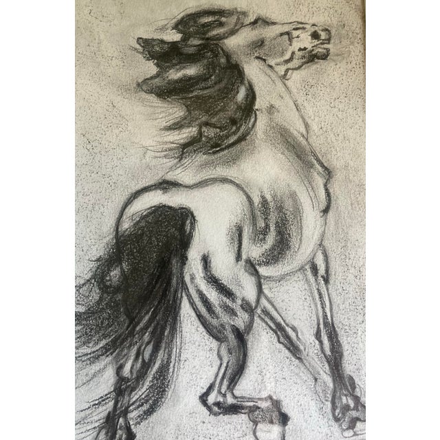 Abstract Authentic Signed Charcoal Drawing of a Horse Matted and Framed For Sale - Image 3 of 5