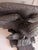Rustic European Eagle Wall Bracket Antique Black Forest Carved Glass Eye For Sale - Image 3 of 11