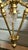 Napoleon III Suspension Light For Sale - Image 15 of 18