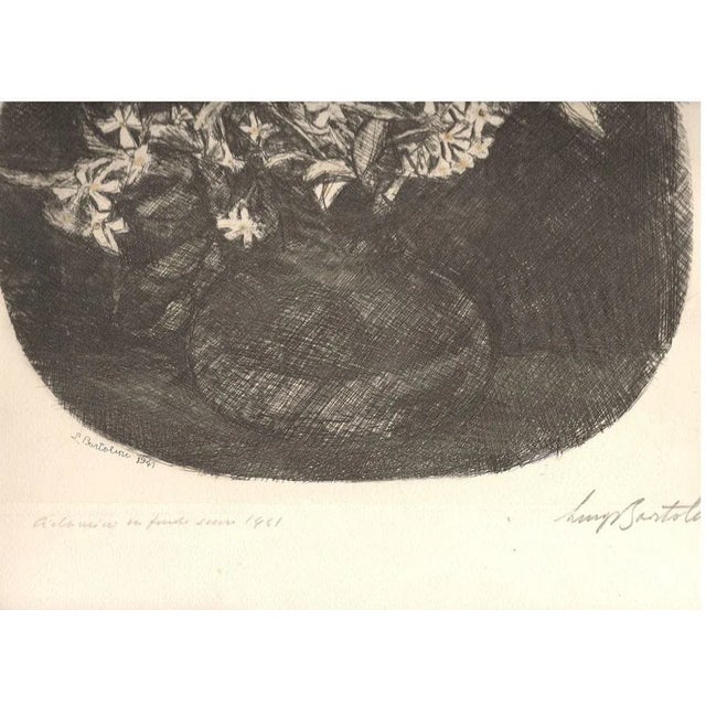 Image dimensions: 24.5 x 31.5 cm. Ciclamini su Fondo Scuro (''Cyclamens on a Dark Background'') is an original artwork...